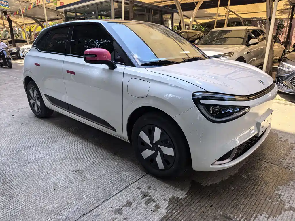 Dongfeng 01 2024 330 Air