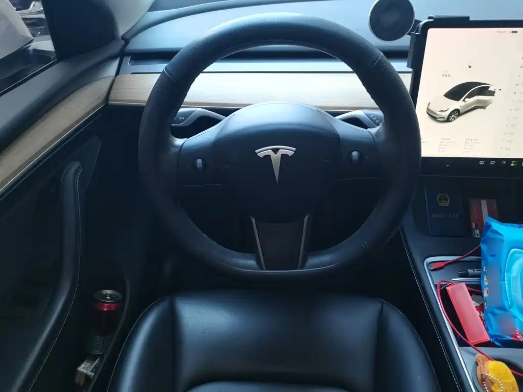 Tesla Model Y — миниатюра 6