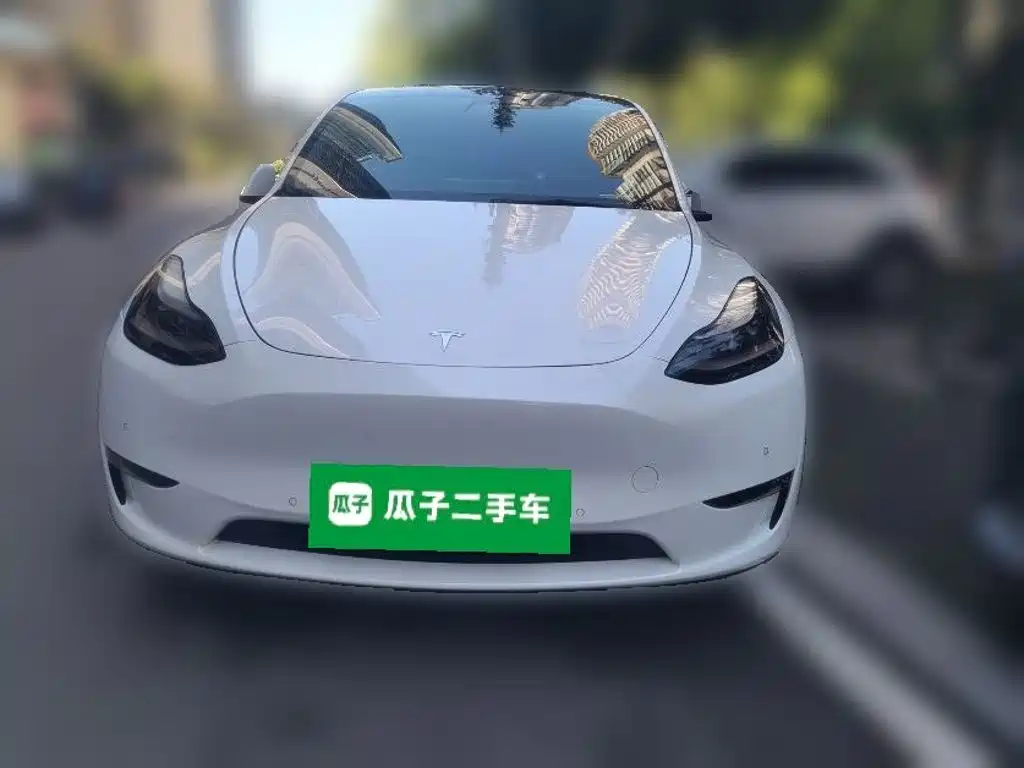 Tesla Model Y — миниатюра 2