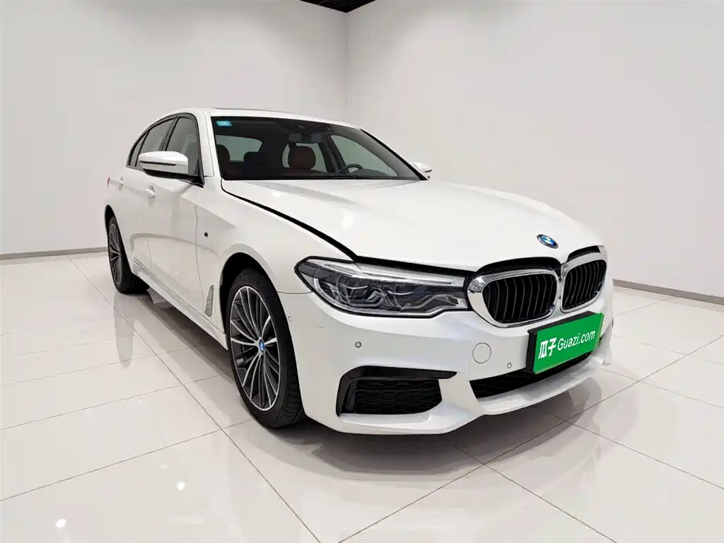 BMW 5 Series 5 2020 530Li Premium M Sport