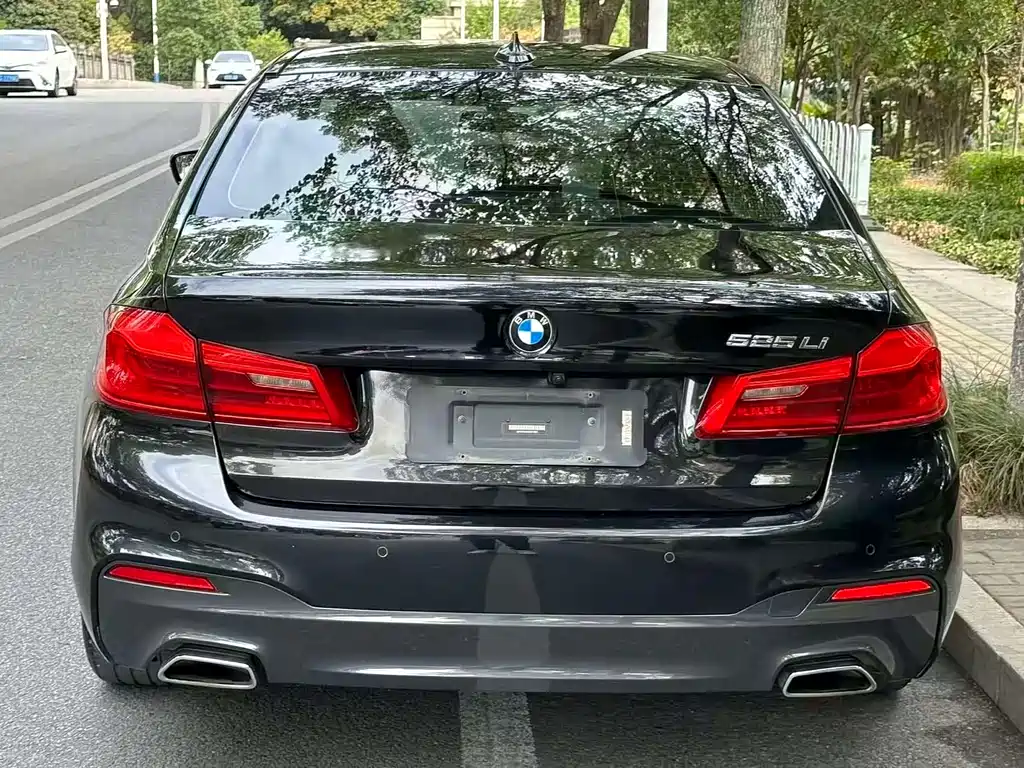 BMW 5 Series 5 2019 525Li M Sport