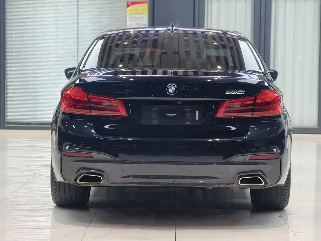 BMW 5 Series (Import) — миниатюра 10