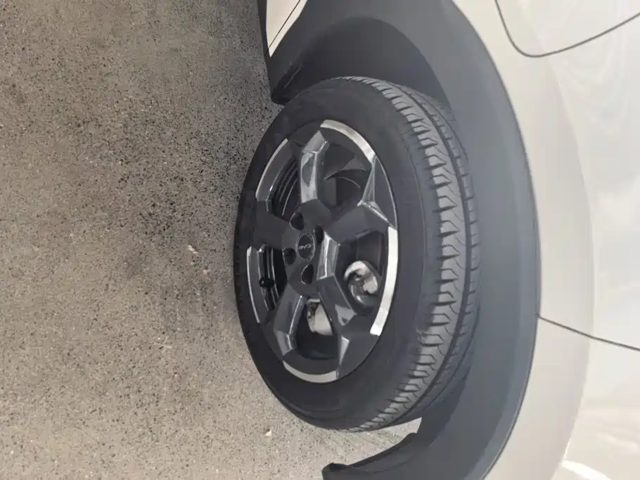 BYD Seagull 2023 Freedom