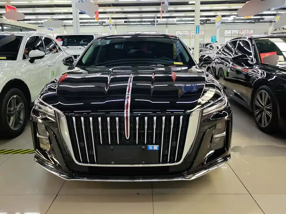 Hongqi Hongqi H5 — миниатюра 2