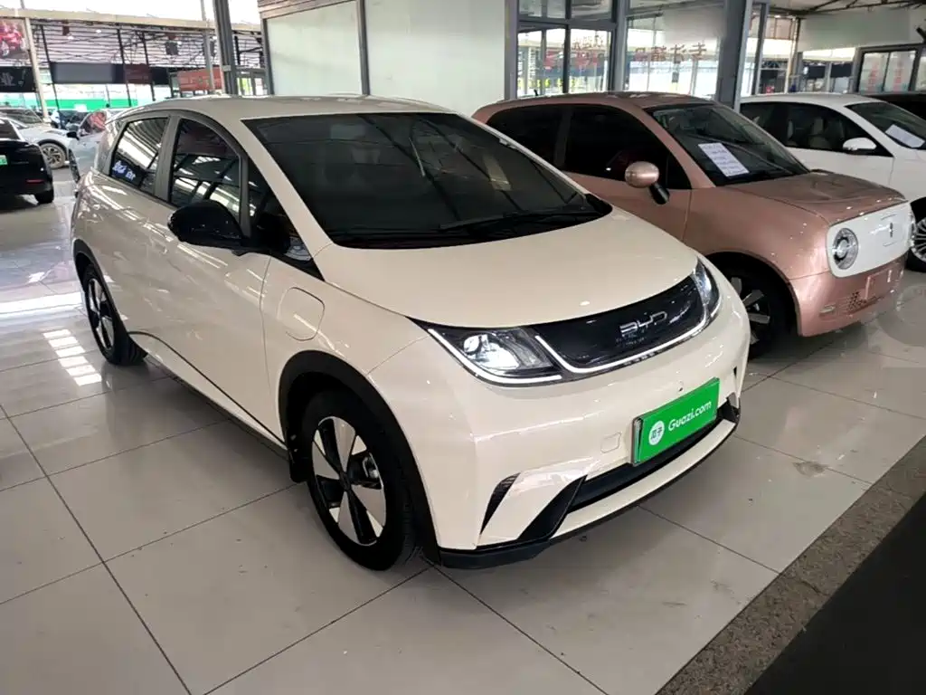 BYD Dolphin — миниатюра 4