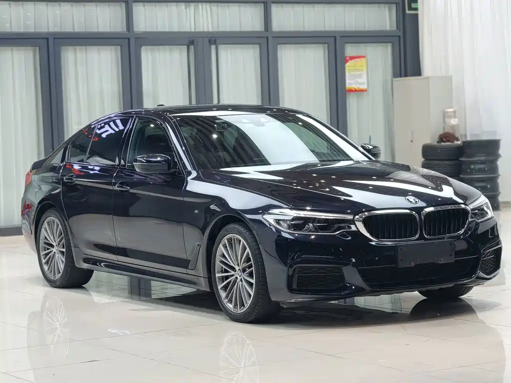 BMW 5 Series (Import) — миниатюра 3