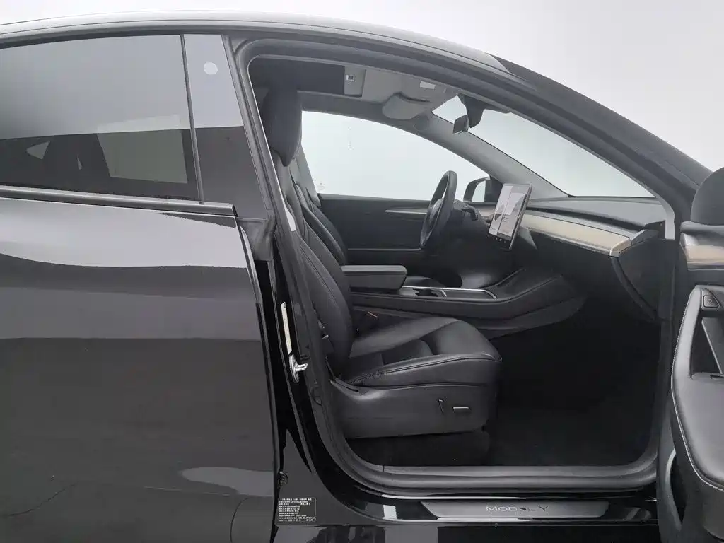 Tesla Model Y — миниатюра 23