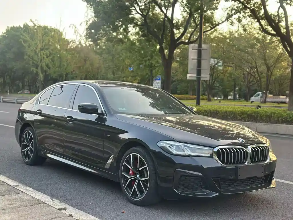 BMW 5 Series — миниатюра 2