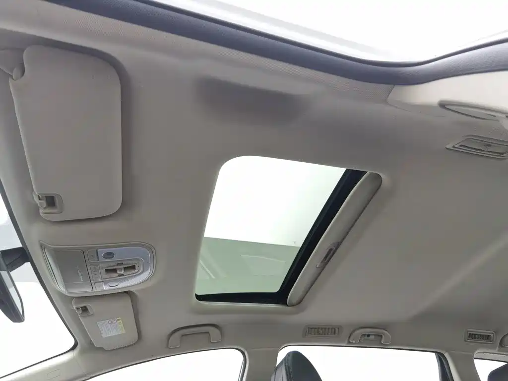 BYD MAX — миниатюра 14