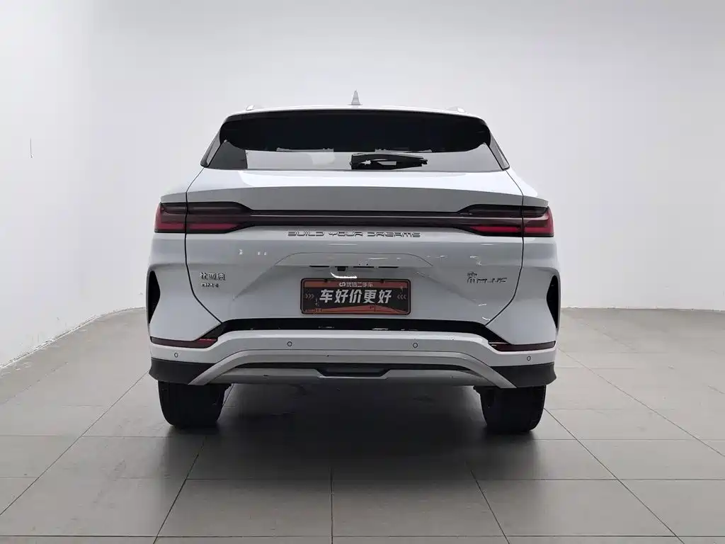 BYD PLUS New Energy — миниатюра 4