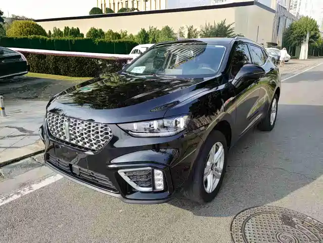 WEI PAI WEI BRAND VV5 2020