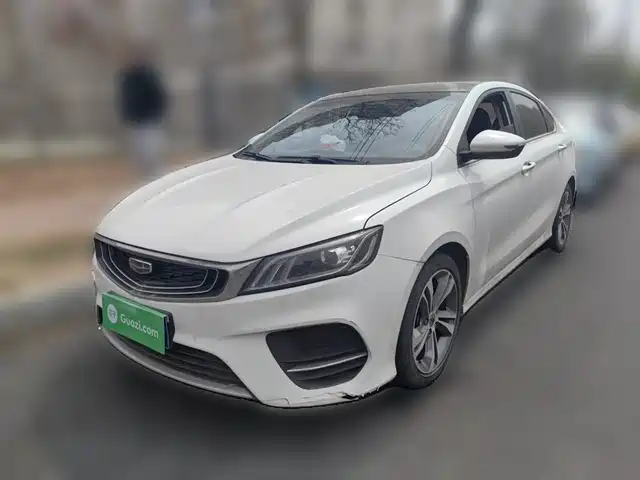 2020 Geely Binrui