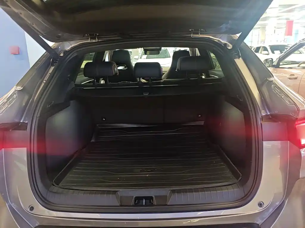 BYD PLUS New Energy — миниатюра 19