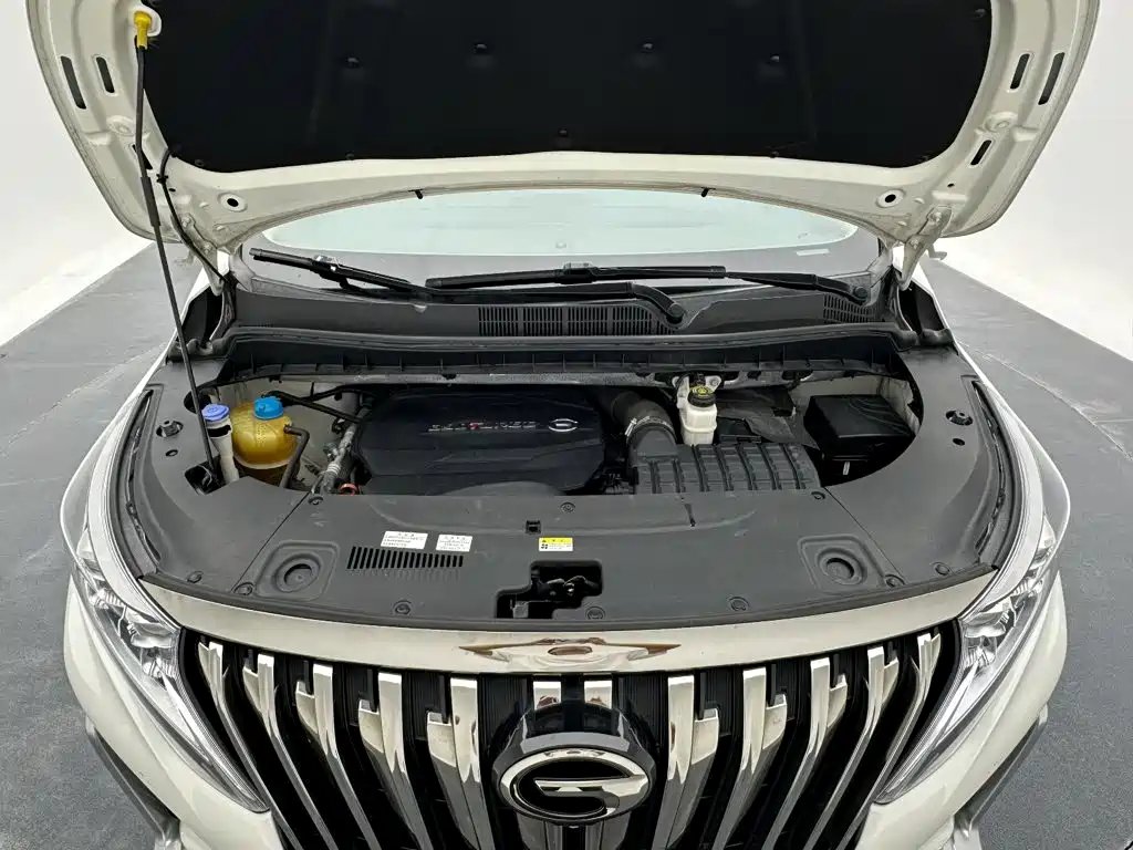GAC Motor Trumpchi M8 — миниатюра 26