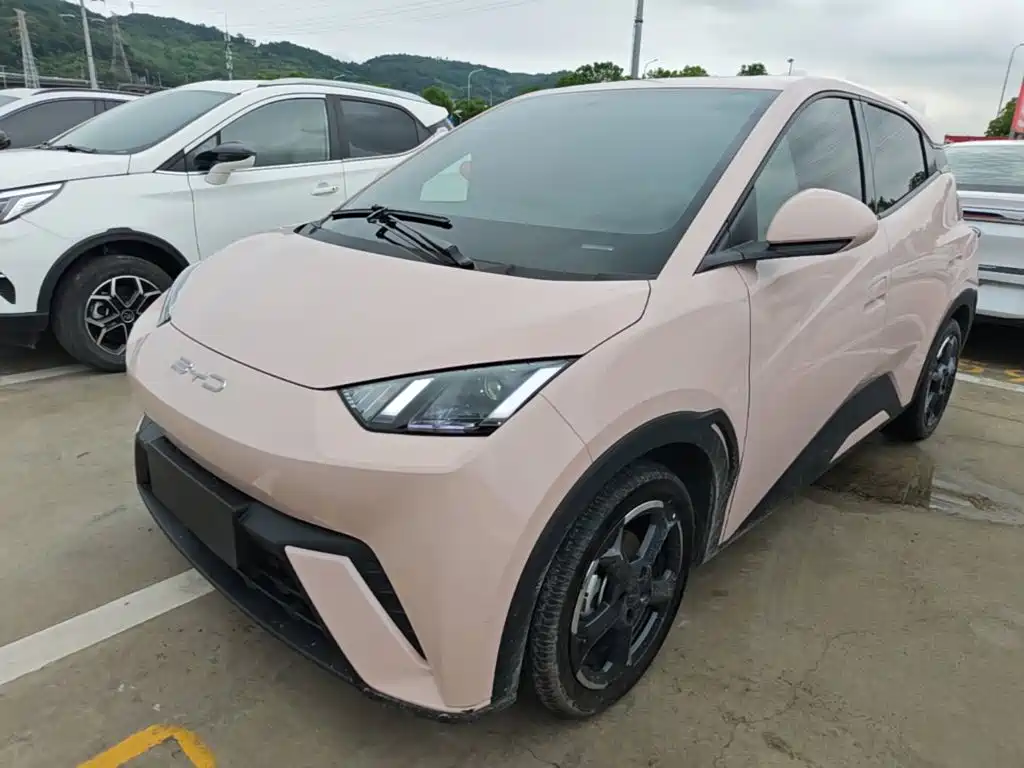 BYD Seagull