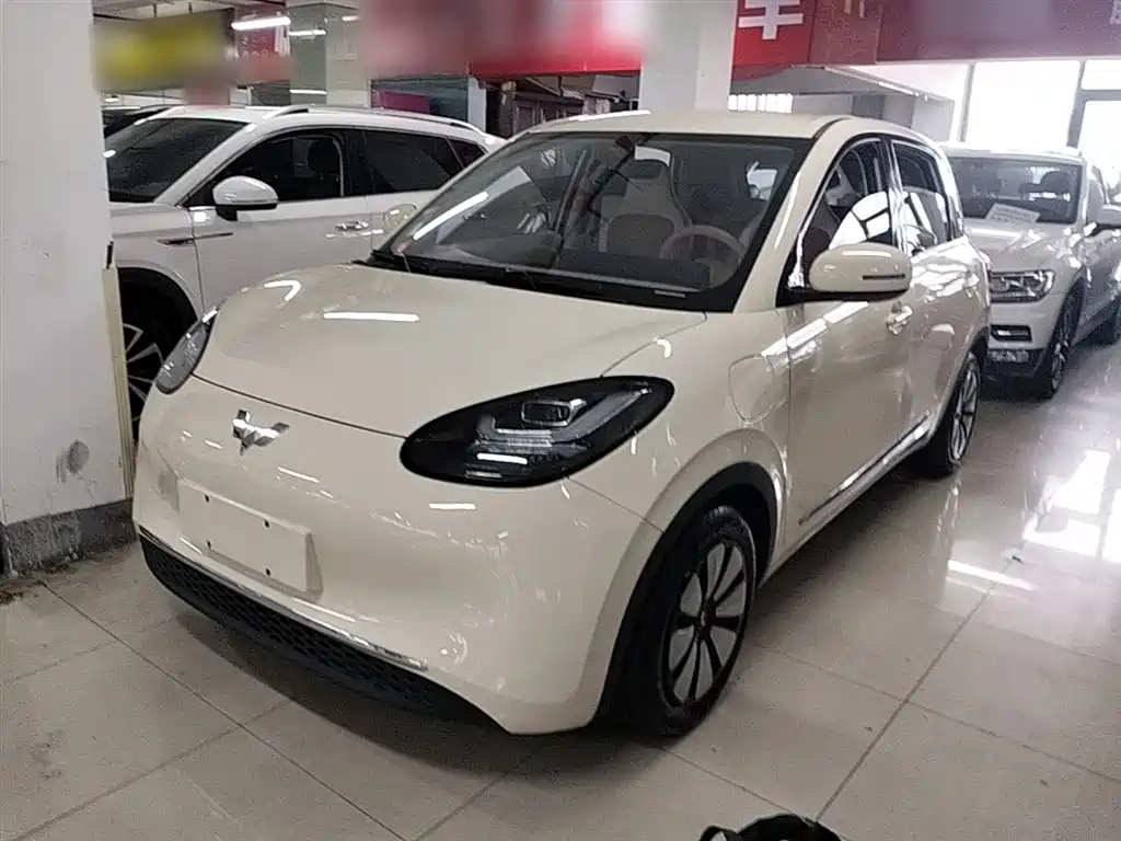 Wuling Binguo 2025 333km
