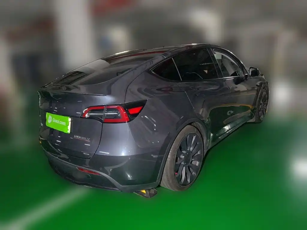 Tesla Model Y — миниатюра 7