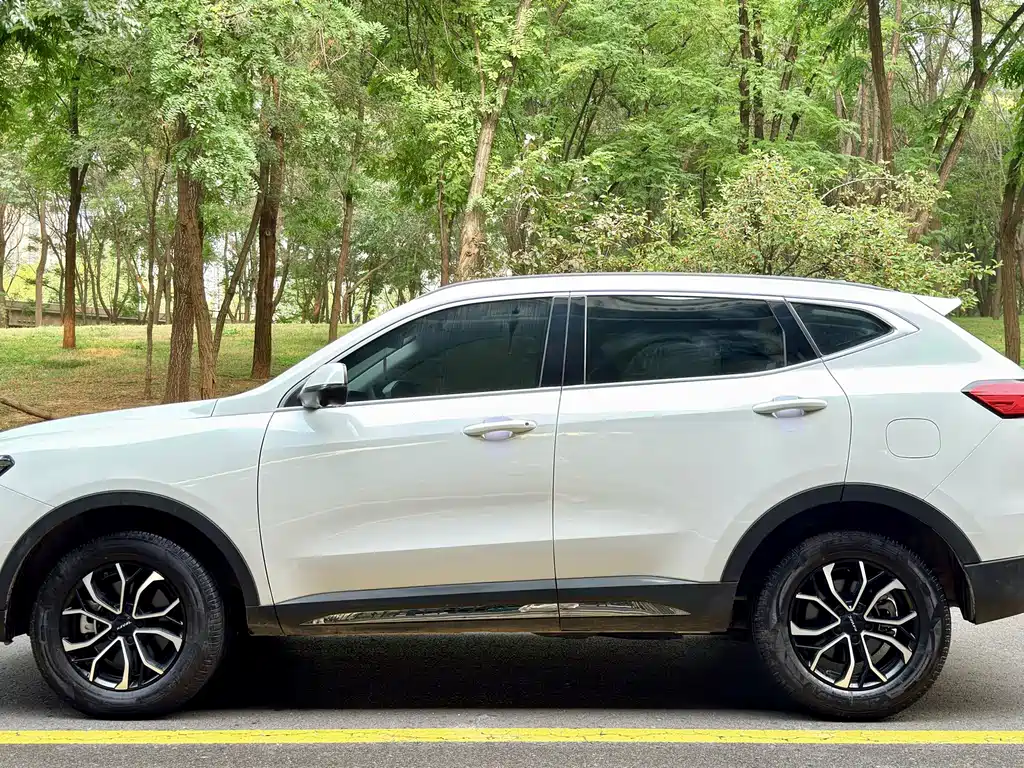 Haval H6 — миниатюра 3