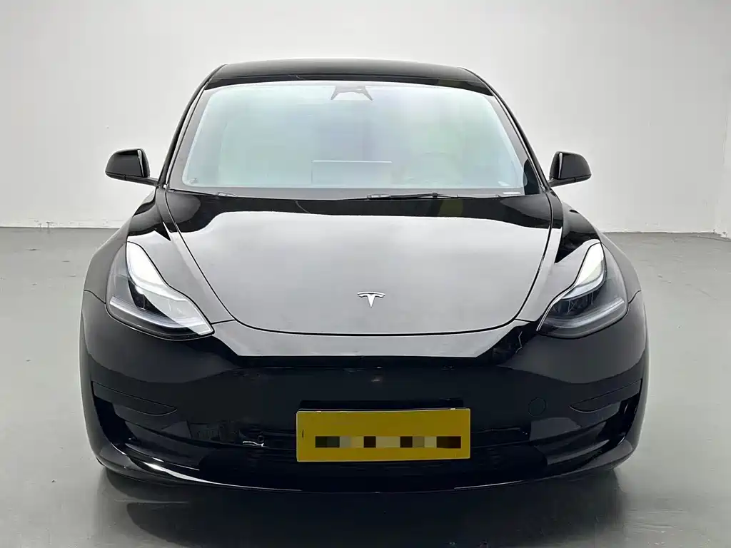 Tesla Model 3 — миниатюра 2