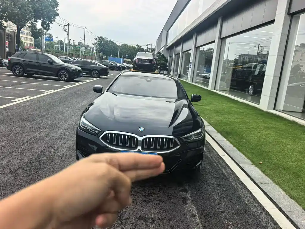 BMW 8 Series — миниатюра 3