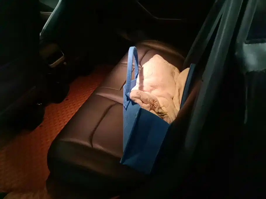 Tesla Model Y — миниатюра 11