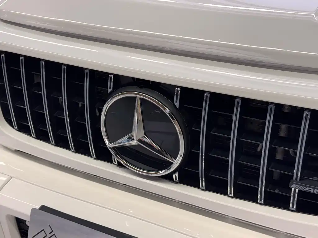 Mercedes-Benz G-Class — миниатюра 5