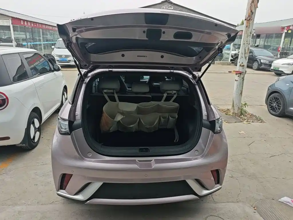 BYD Dolphin — миниатюра 19