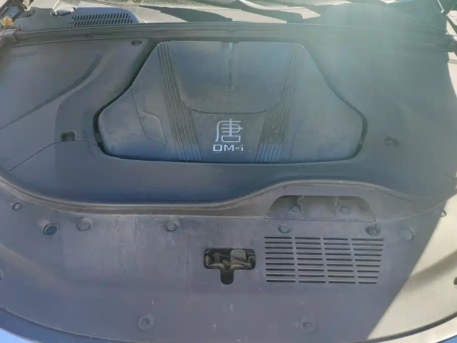 BYD Tang New Energy — миниатюра 10
