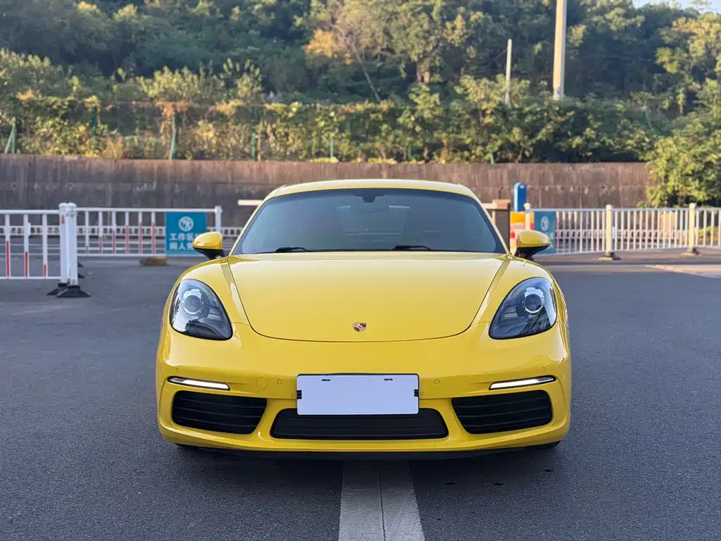 Porsche 718 — миниатюра 2