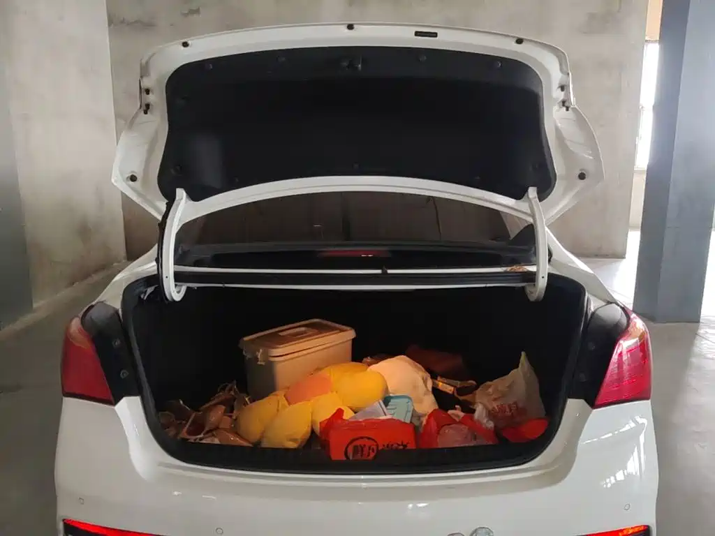 Hyundai Mistra — миниатюра 19
