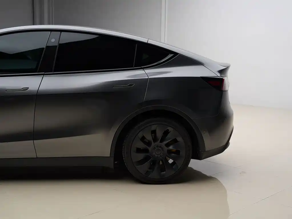 Tesla Model Y — миниатюра 8