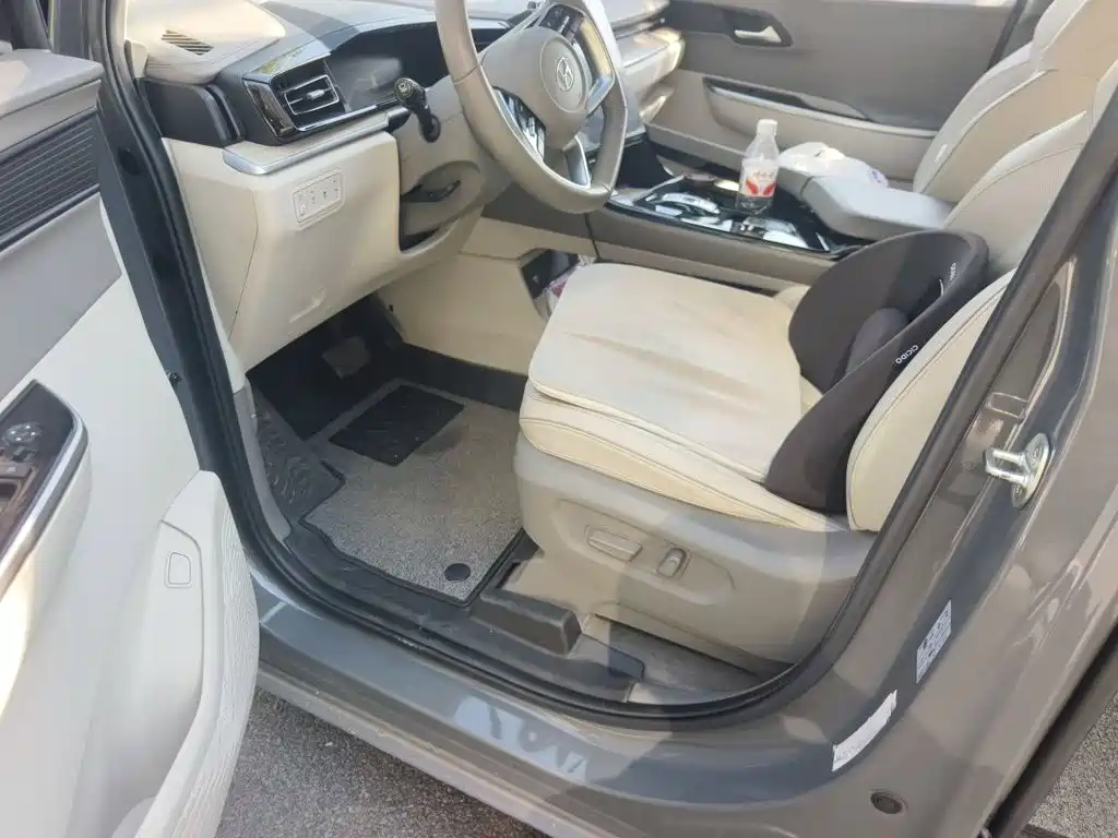 Hyundai Custo — миниатюра 17