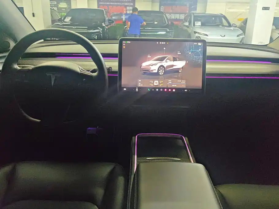 Tesla Model Y — миниатюра 12