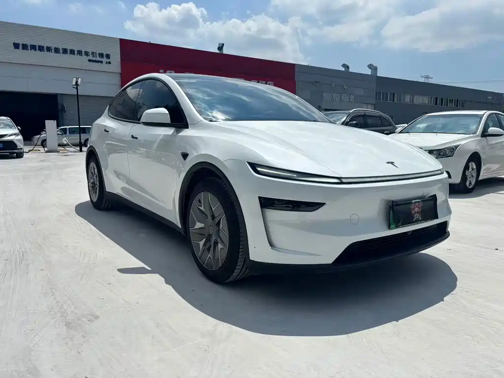 Tesla Model Y — миниатюра 3