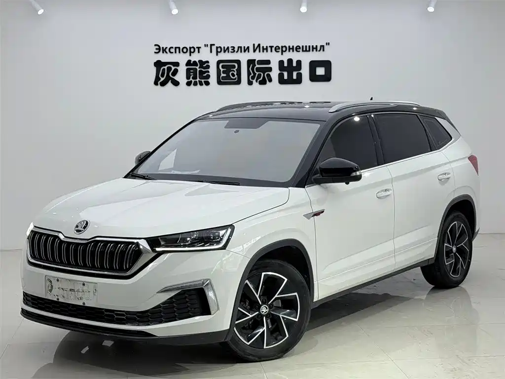Купить Skoda Kamiq