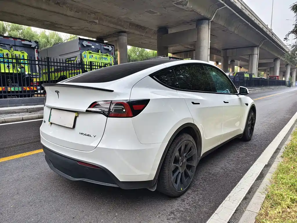 Tesla Model Y — миниатюра 5