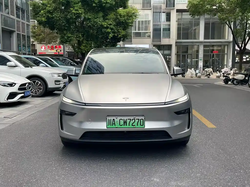 Tesla Model Y — миниатюра 2