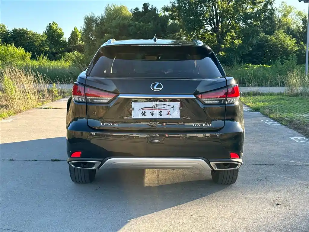 Lexus RX 2020 300 Elegant VI