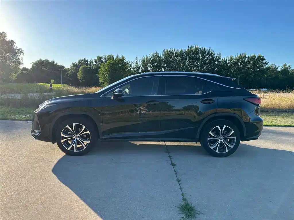 Lexus RX 2020 300 Elegant VI