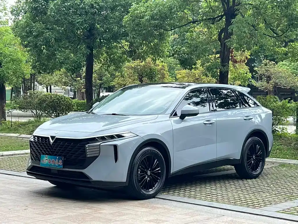 Venucia V 2021