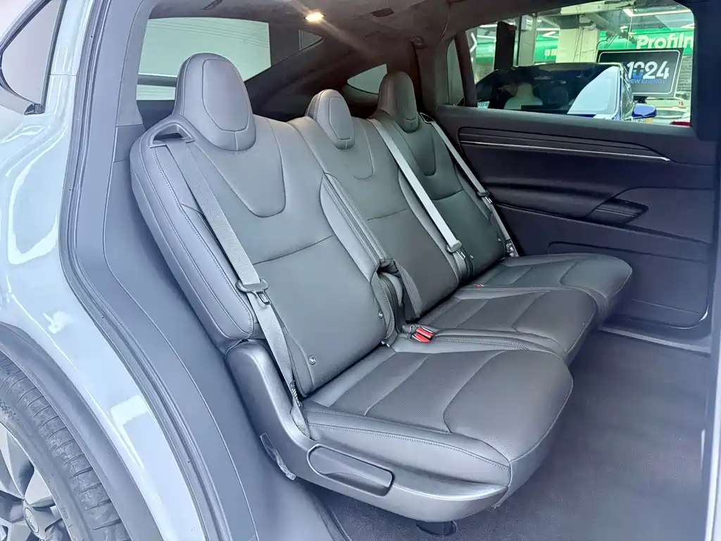 Tesla Model X — миниатюра 8