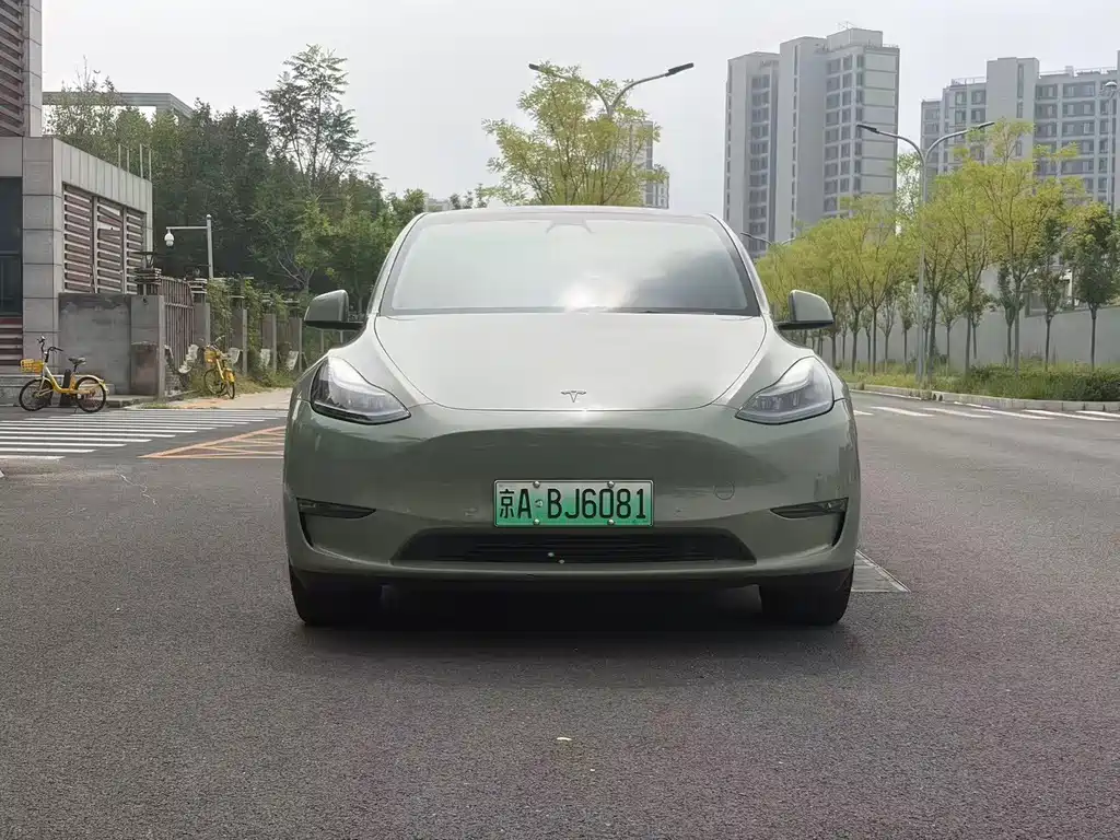 Tesla Model Y — миниатюра 2