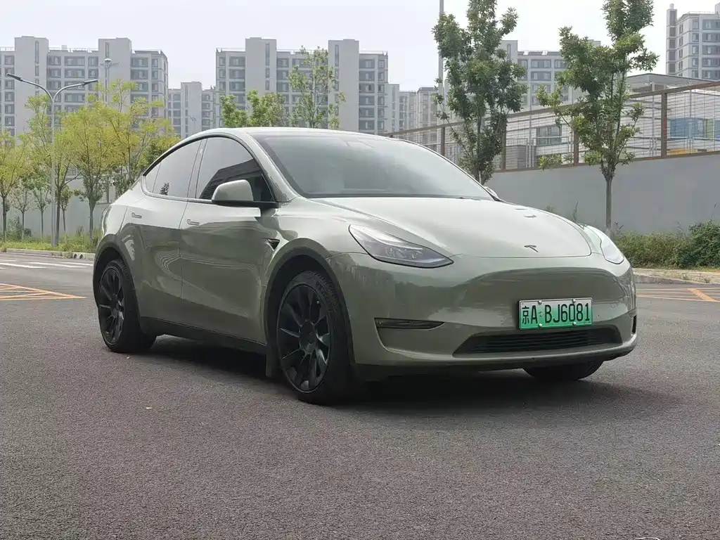 Tesla Model Y — миниатюра 3