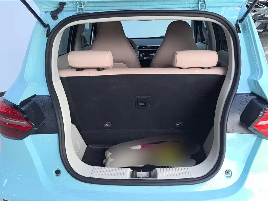 Leapmotor T03 2025 310