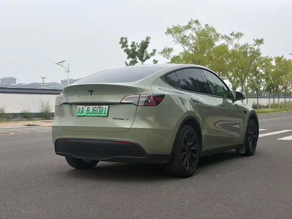 Tesla Model Y — миниатюра 21