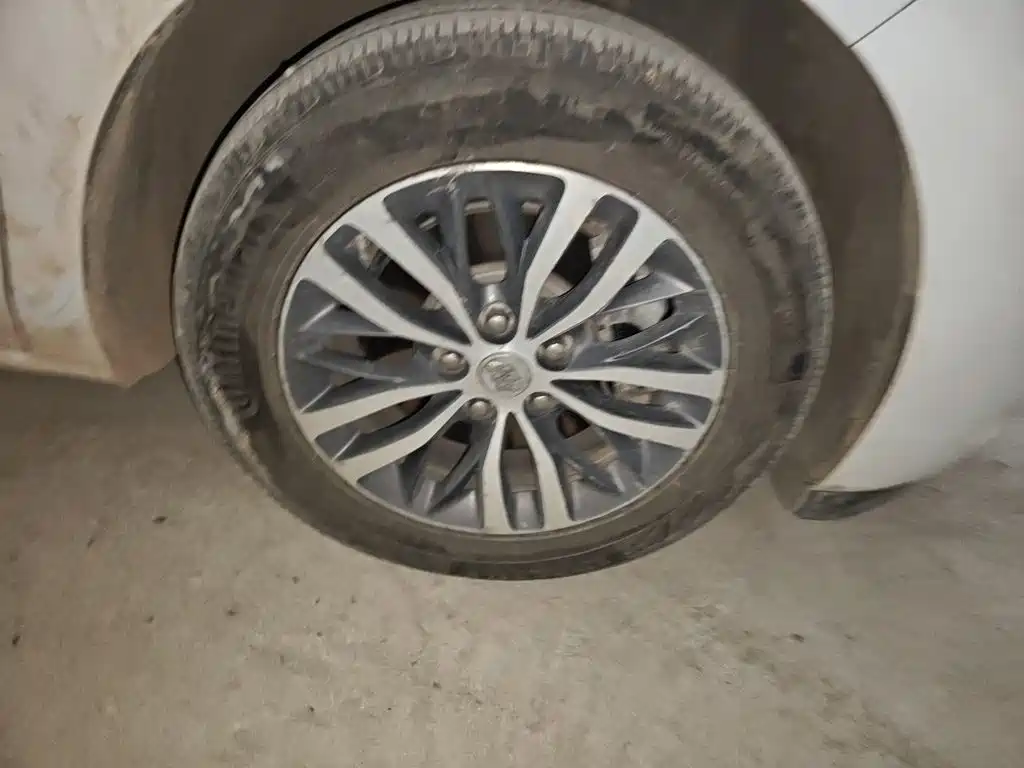 Buick GL8 — миниатюра 24