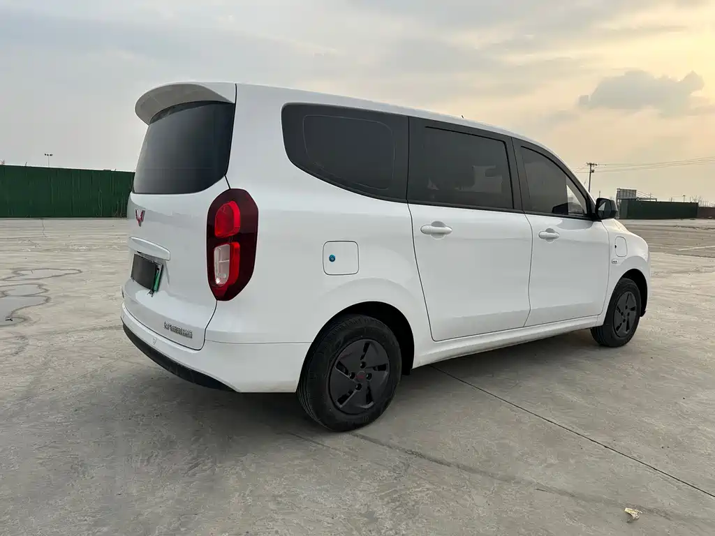 WULING WULING HONGGUANG NEW ENERGY