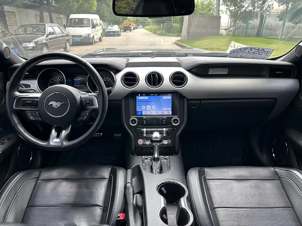 Ford Mustang — миниатюра 31