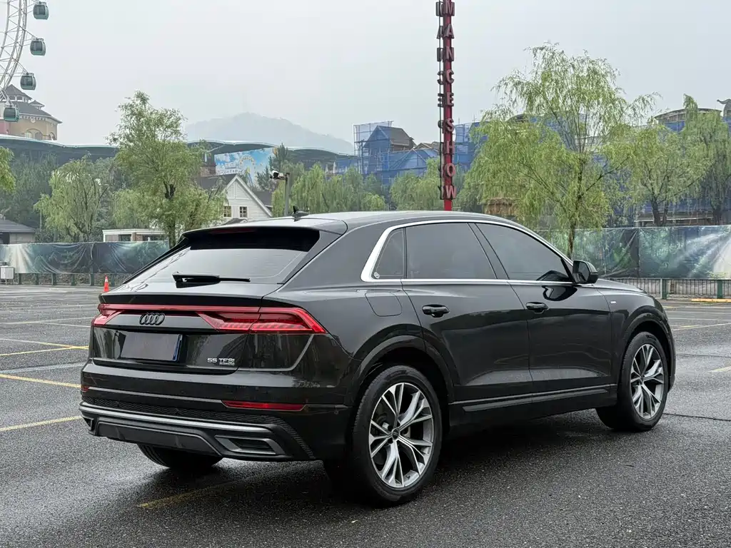 Audi Q8 2024 55 TFSI Luxury