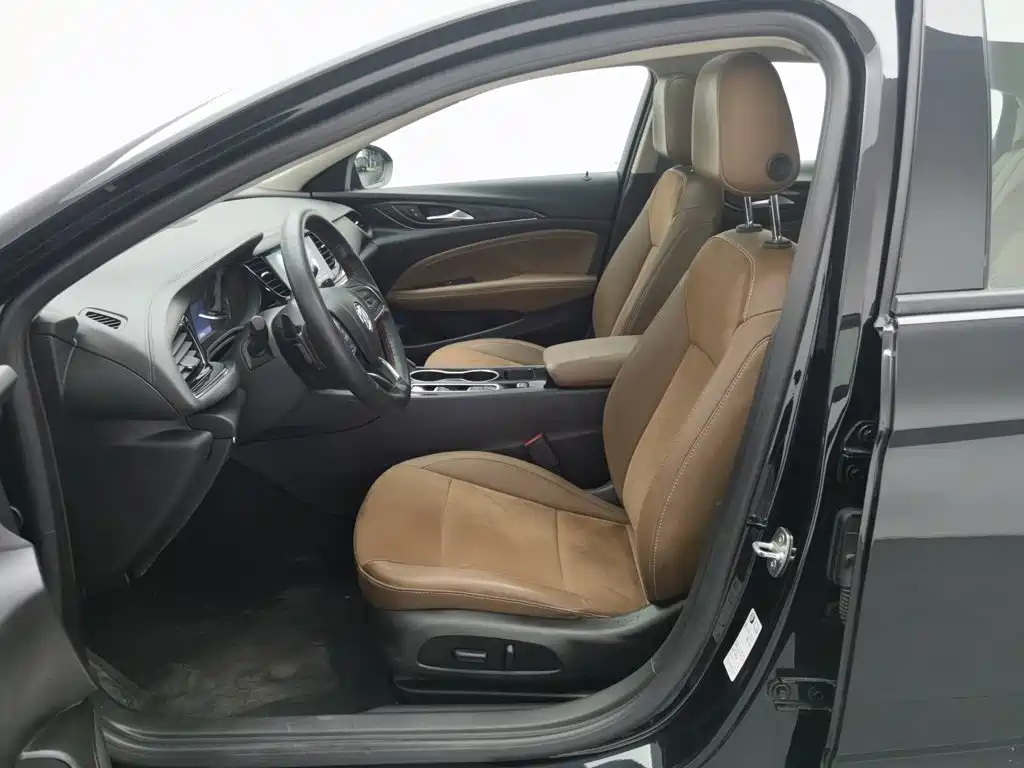 Buick Regal — миниатюра 10